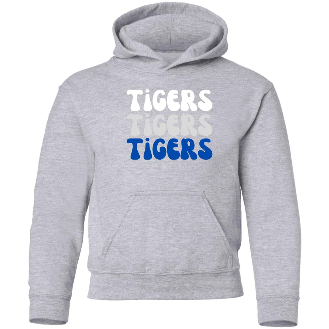 St. John/Hudson Tigers Youth Hoodies - Positively Sassy