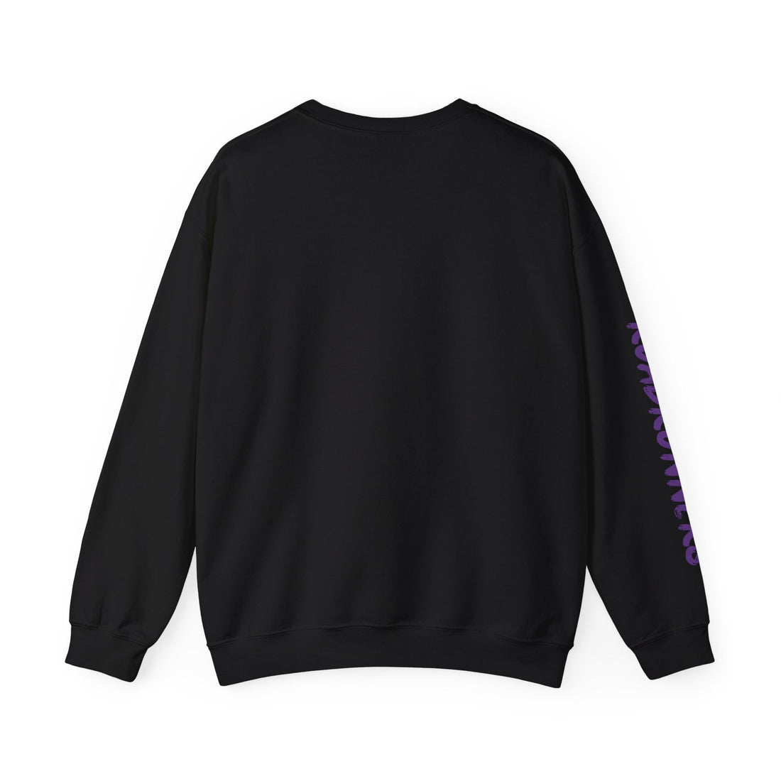 F - R - 13 - 14 - Sweatshirt - Positively Sassy - F - R - 13 - 14