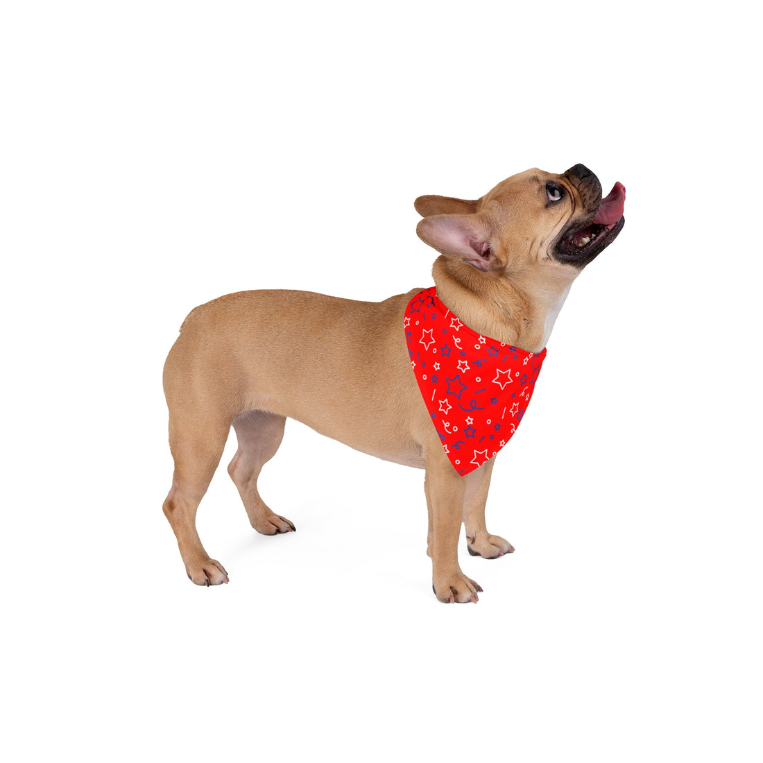 Luna 4 th Pet Bandana - Pets - Positively Sassy - Luna 4 th Pet Bandana