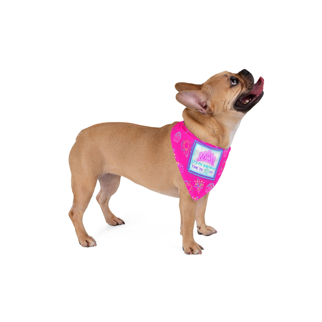 LUNA Birthday Pet Bandana - Pets - Positively Sassy - LUNA Birthday Pet Bandana