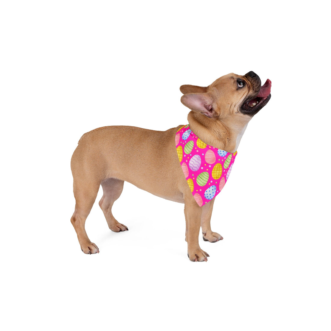 Luna Easter 1 Pet Bandana - Pets - Positively Sassy - Luna Easter 1 Pet Bandana