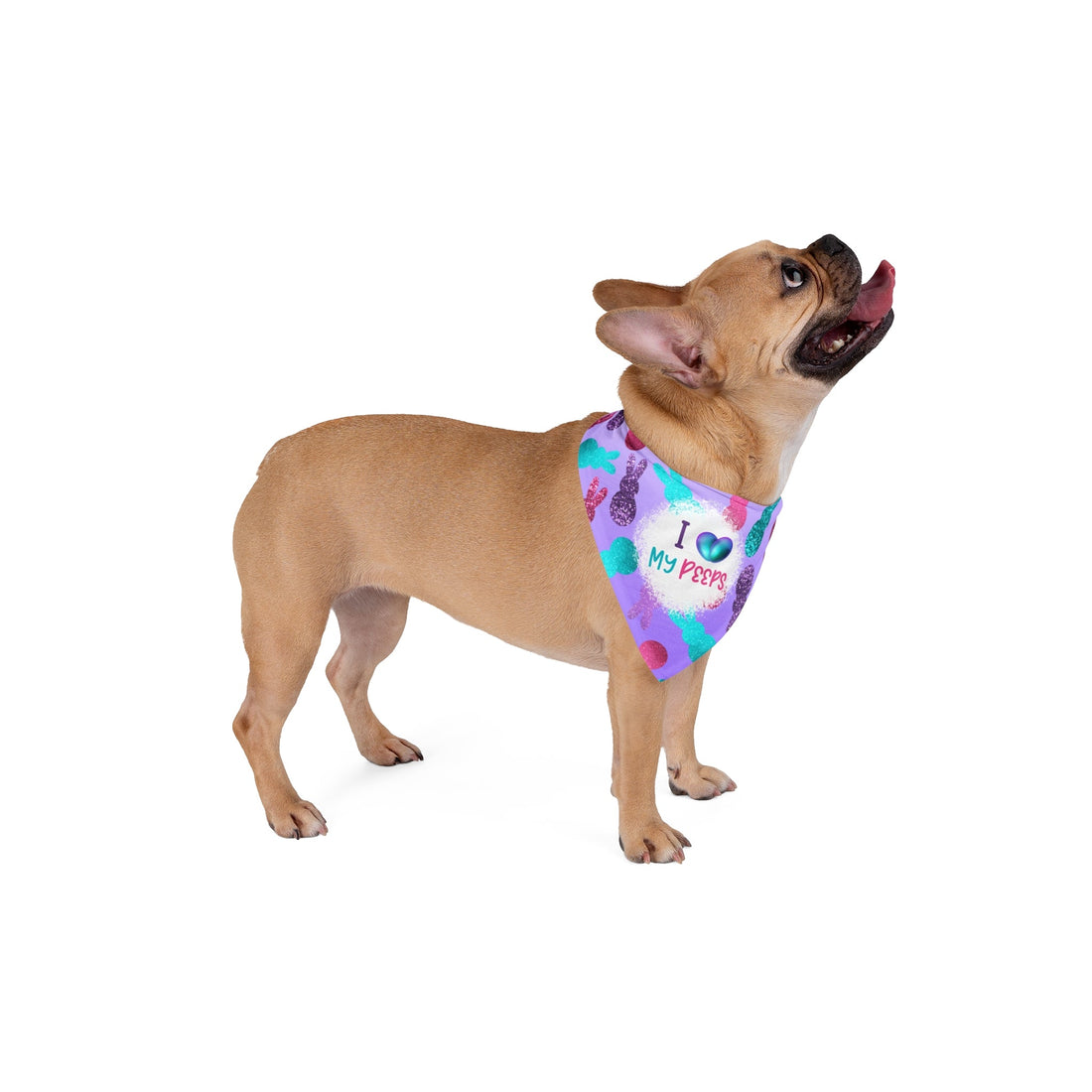 Luna Easter 2 Pet Bandana - Pets - Positively Sassy - Luna Easter 2 Pet Bandana