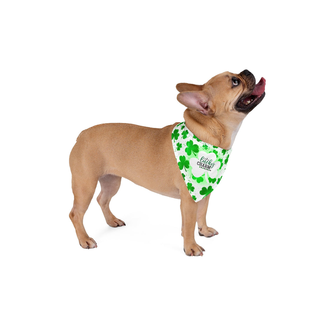 Luna St Pats Pet Bandana - Pets - Positively Sassy - Luna St Pats Pet Bandana